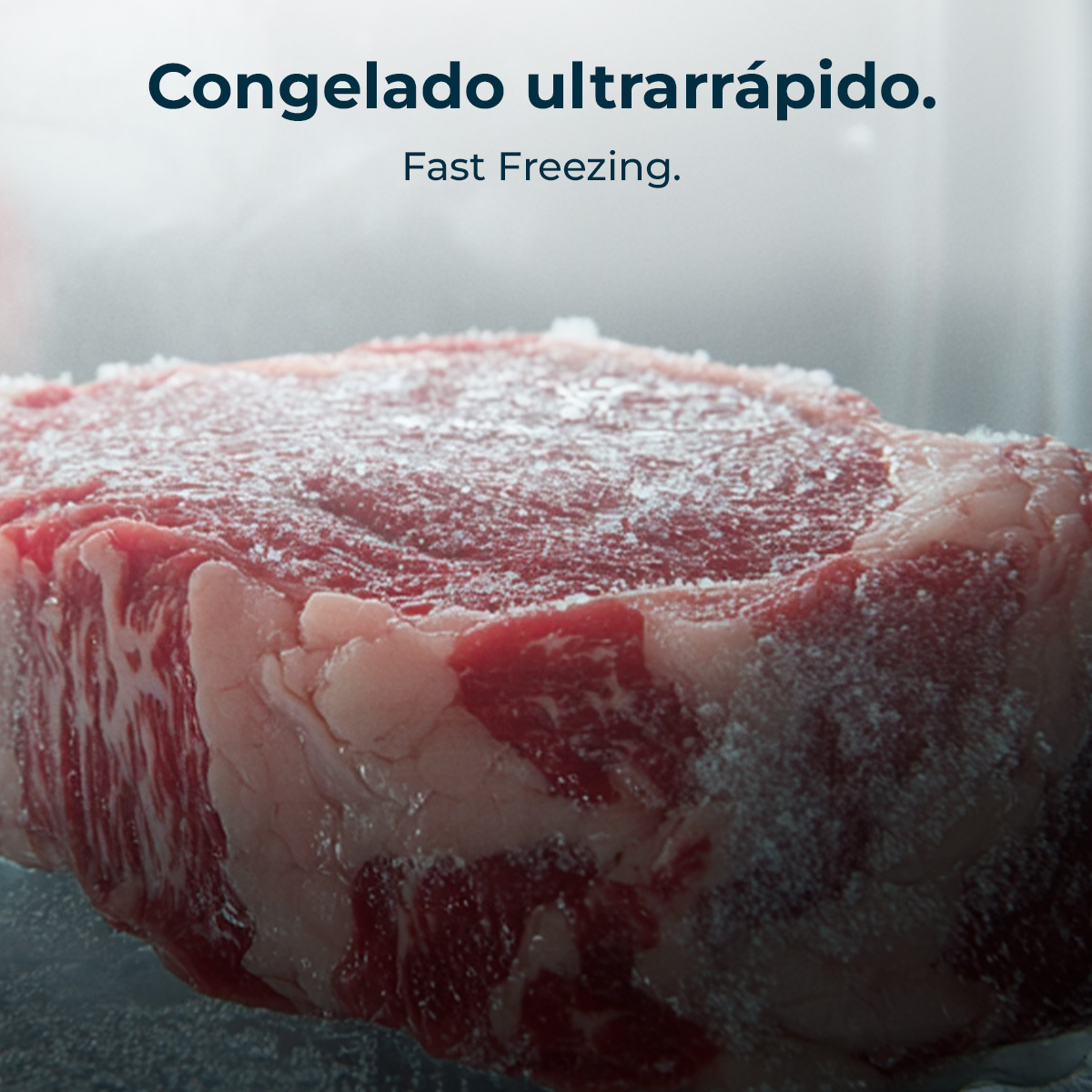 Bolero CoolMarket Chest 142 Black E | Envío gratis y mejor precio garantizado – foto detalle 4 Bolero CoolMarket Chest 142 Black E | Envío gratis y mejor precio garantizado – foto detalle 4